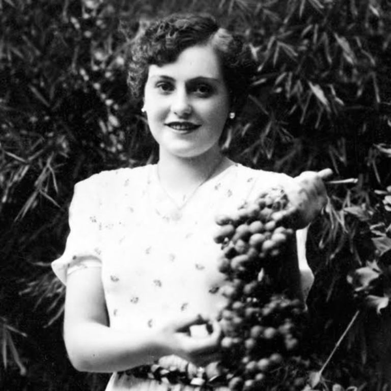 Diseño sin título (13)